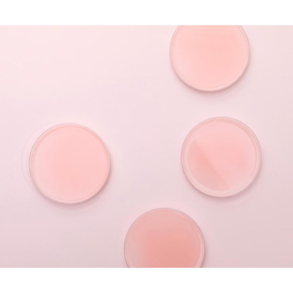 Aromatica Reviving Rose Infusion Treatment Toner_Ekologisk Hudvard Koreansk Hudvard Seoul & Hailey K-Beauty Sverige